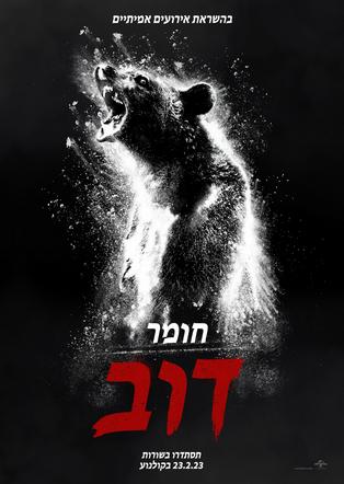 חומר דוב