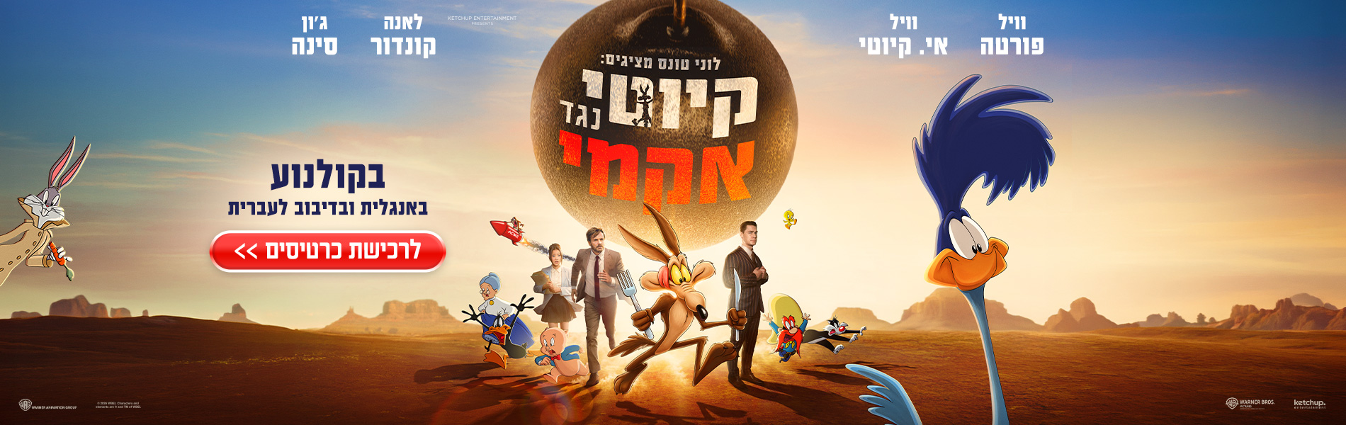 קויוטי נגד אקמי