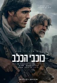 כוכבי הכלב