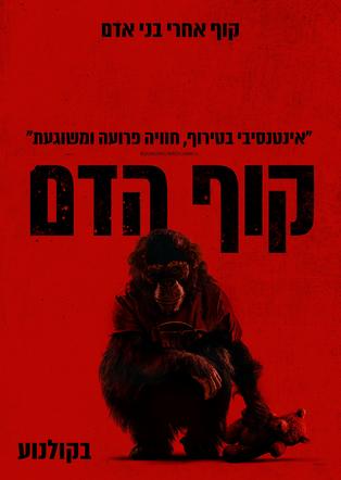 קוף הדם